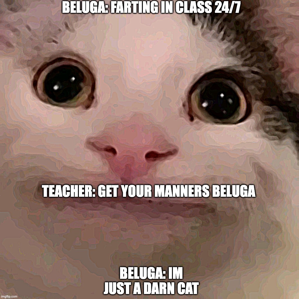 Beluga | BELUGA: FARTING IN CLASS 24/7; TEACHER: GET YOUR MANNERS BELUGA; BELUGA: IM JUST A DARN CAT | image tagged in beluga | made w/ Imgflip meme maker