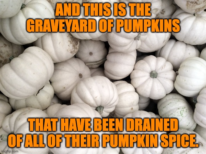 Pumpkins | AND THIS IS THE GRAVEYARD OF PUMPKINS; THAT HAVE BEEN DRAINED OF ALL OF THEIR PUMPKIN SPICE. | image tagged in halloween | made w/ Imgflip meme maker