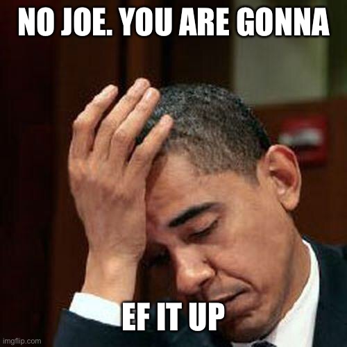 Obama Facepalm 250px | NO JOE. YOU ARE GONNA EF IT UP | image tagged in obama facepalm 250px | made w/ Imgflip meme maker