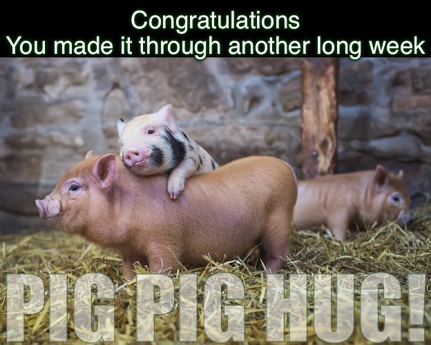 Thank God It’s Sunday! | Congratulations
You made it through another long week; PIG PIG HUG! | image tagged in funny memes,pig hug,for my cuppycake | made w/ Imgflip meme maker