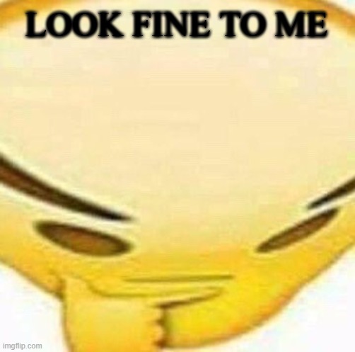 HMMMMMMM | LOOK FINE TO ME | image tagged in hmmmmmmm | made w/ Imgflip meme maker
