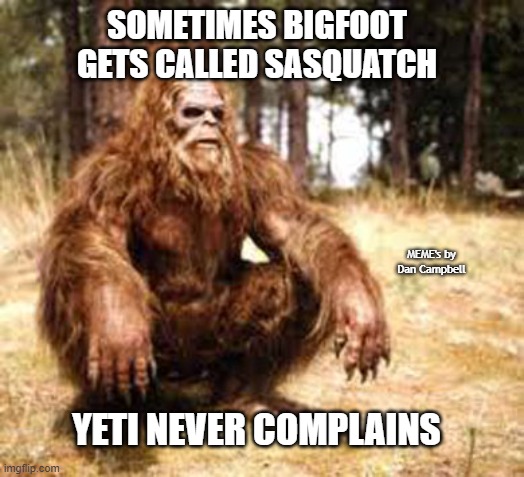 Chillin' Bigfoot | SOMETIMES BIGFOOT GETS CALLED SASQUATCH; MEME's by Dan Campbell; YETI NEVER COMPLAINS | image tagged in chillin' bigfoot | made w/ Imgflip meme maker