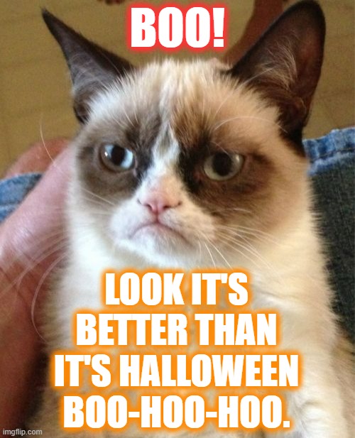 Grumpy Cat At Halloween | BOO! LOOK IT'S BETTER THAN IT'S HALLOWEEN BOO-HOO-HOO. | image tagged in memes,grumpy cat,cats,halloween,boo,opinion | made w/ Imgflip meme maker