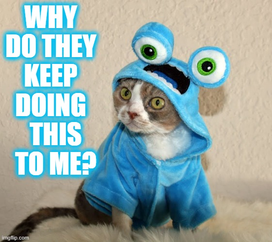 It's Halloween Again... | WHY DO THEY KEEP DOING   THIS   TO ME? | image tagged in memes,cats,halloween,halloween costume,why are you like this,why am i doing this | made w/ Imgflip meme maker