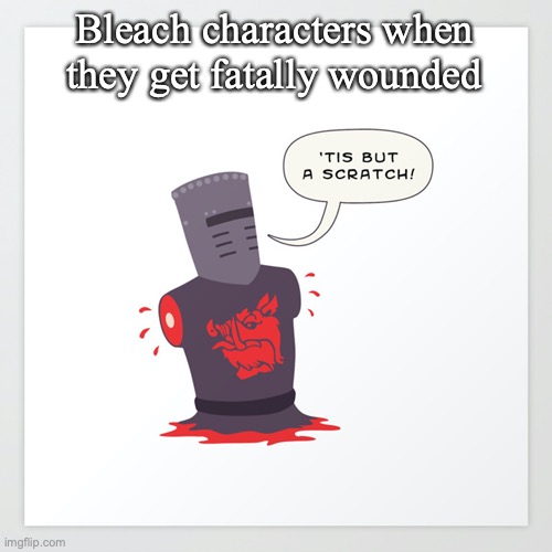 Bleach characters when they get fatally wounded | image tagged in bleach,anime,manga,anime meme | made w/ Imgflip meme maker