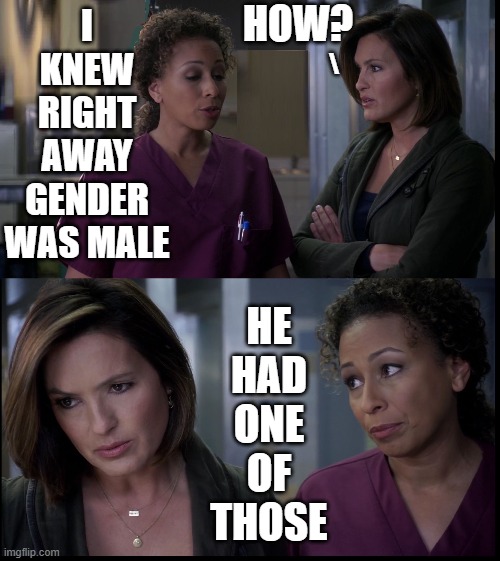 How the Medical Examiner on Law & Order determines gender |  HOW? I KNEW RIGHT AWAY GENDER WAS MALE; \; HE HAD ONE OF THOSE | image tagged in vince vance,law and order,svu,memes,gender identity,2 genders | made w/ Imgflip meme maker