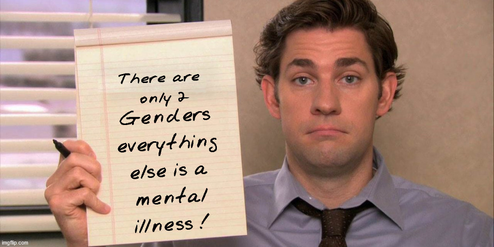 Mental Illness | image tagged in only 2 genders | made w/ Imgflip meme maker