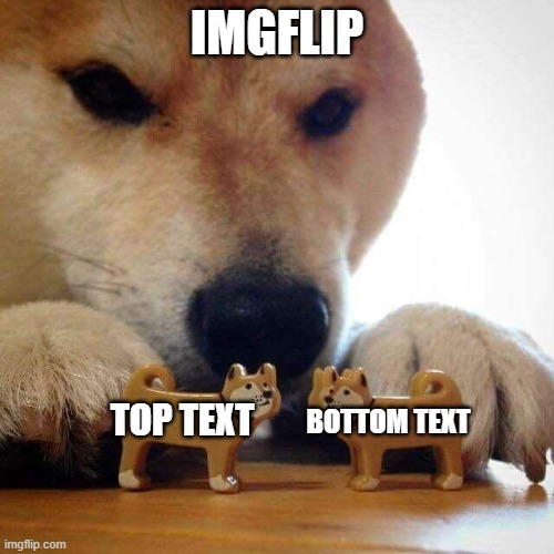 how imgflip was born | IMGFLIP; TOP TEXT; BOTTOM TEXT | image tagged in memesarebest | made w/ Imgflip meme maker