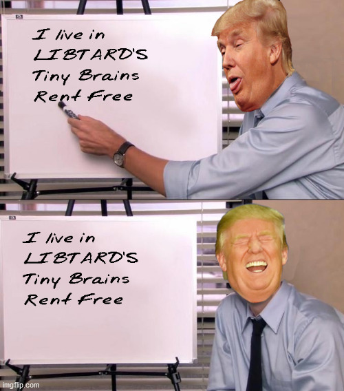 image tagged in stupid liberals | made w/ Imgflip meme maker