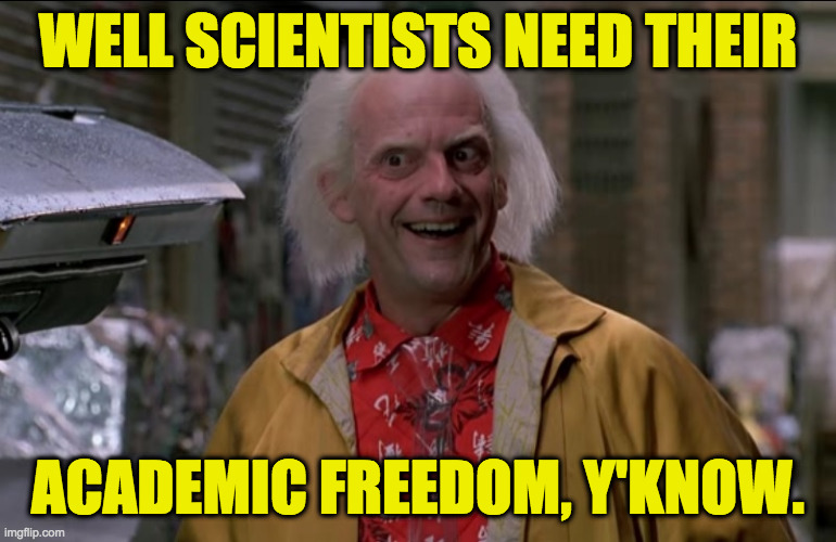 Doc Brown | WELL SCIENTISTS NEED THEIR ACADEMIC FREEDOM, Y'KNOW. | image tagged in doc brown | made w/ Imgflip meme maker