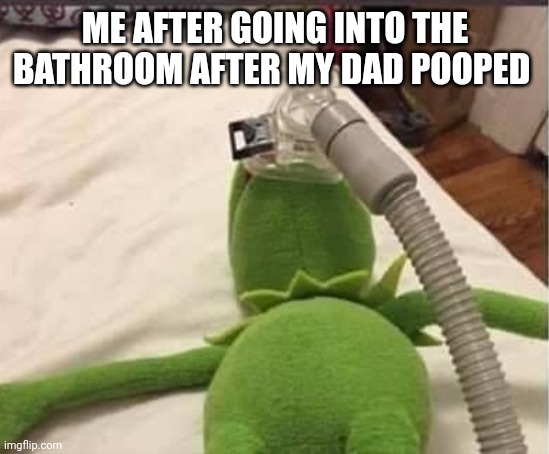 Today some sad dad noises memes | ME AFTER GOING INTO THE BATHROOM AFTER MY DAD POOPED | image tagged in kermit breathing mask | made w/ Imgflip meme maker