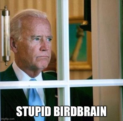 Sad Joe Biden | STUPID BIRDBRAIN | image tagged in sad joe biden | made w/ Imgflip meme maker