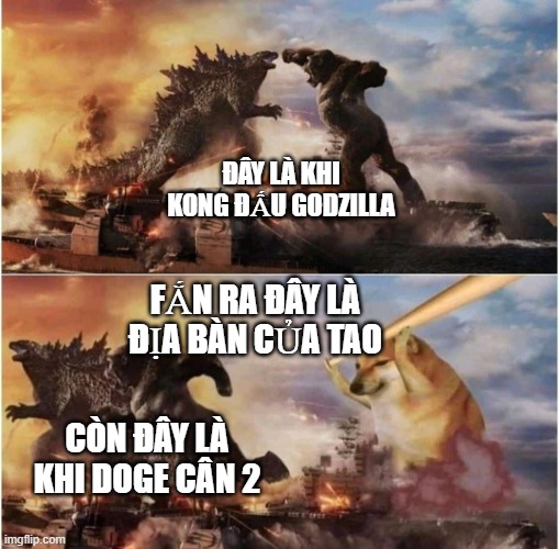 Kong Godzilla Doge | ĐÂY LÀ KHI KONG ĐẤU GODZILLA; FẮN RA ĐÂY LÀ ĐỊA BÀN CỦA TAO; CÒN ĐÂY LÀ KHI DOGE CÂN 2 | image tagged in kong godzilla doge | made w/ Imgflip meme maker