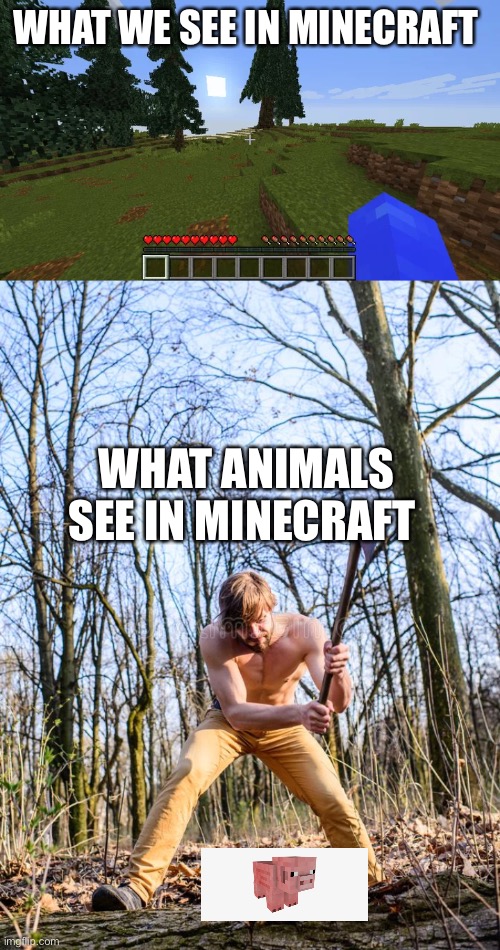 Minecraft animals live a horror movie | WHAT WE SEE IN MINECRAFT; WHAT ANIMALS SEE IN MINECRAFT | image tagged in minecraft,funny | made w/ Imgflip meme maker
