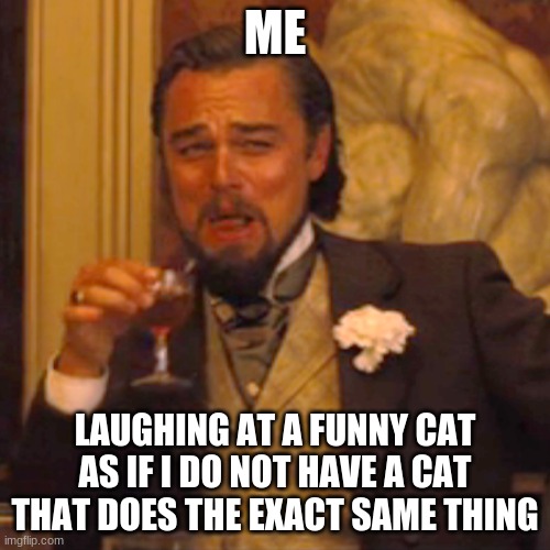 Laughing Leo Meme | ME; LAUGHING AT A FUNNY CAT AS IF I DO NOT HAVE A CAT THAT DOES THE EXACT SAME THING | image tagged in memes,laughing leo,cat,bebebebebebebebebebebeebebebe | made w/ Imgflip meme maker
