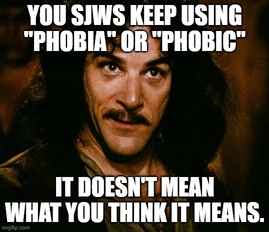 Inigo Montoya Meme | YOU SJWS KEEP USING "PHOBIA" OR "PHOBIC" IT DOESN'T MEAN WHAT YOU THINK IT MEANS. | image tagged in memes,inigo montoya | made w/ Imgflip meme maker