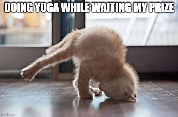yoga kitty | DOING YOGA WHILE WAITING MY PRIZE | image tagged in yoga kitty | made w/ Imgflip meme maker