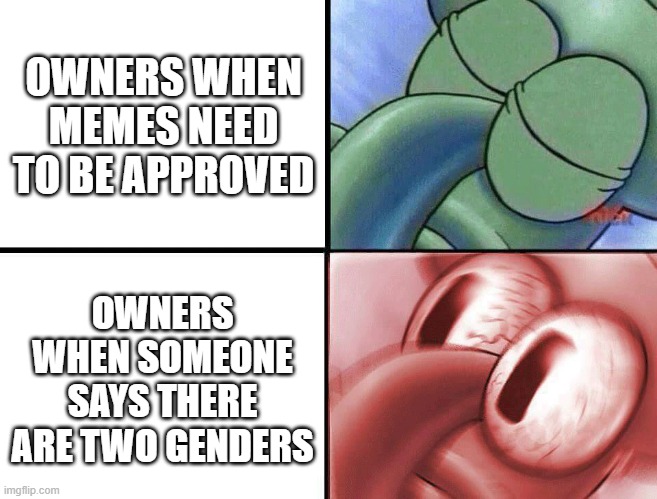 Why is everything moving so slow? | OWNERS WHEN MEMES NEED TO BE APPROVED; OWNERS WHEN SOMEONE SAYS THERE ARE TWO GENDERS | image tagged in sleeping squidward | made w/ Imgflip meme maker