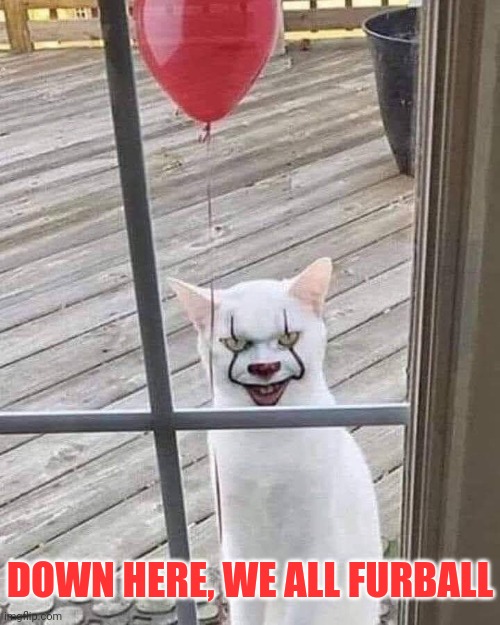 Pennymeow the Clowncat | DOWN HERE, WE ALL FURBALL | image tagged in cats,it,pennywise,halloween,memes | made w/ Imgflip meme maker