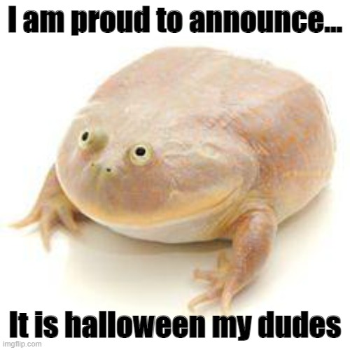 Spooky season | I am proud to announce... It is halloween my dudes | image tagged in wednesday frog blank | made w/ Imgflip meme maker