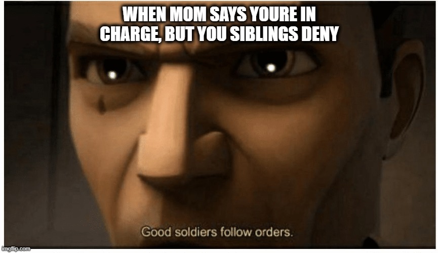 Good soldiers follow orders |  WHEN MOM SAYS YOURE IN CHARGE, BUT YOU SIBLINGS DENY | image tagged in good soldiers follow orders | made w/ Imgflip meme maker