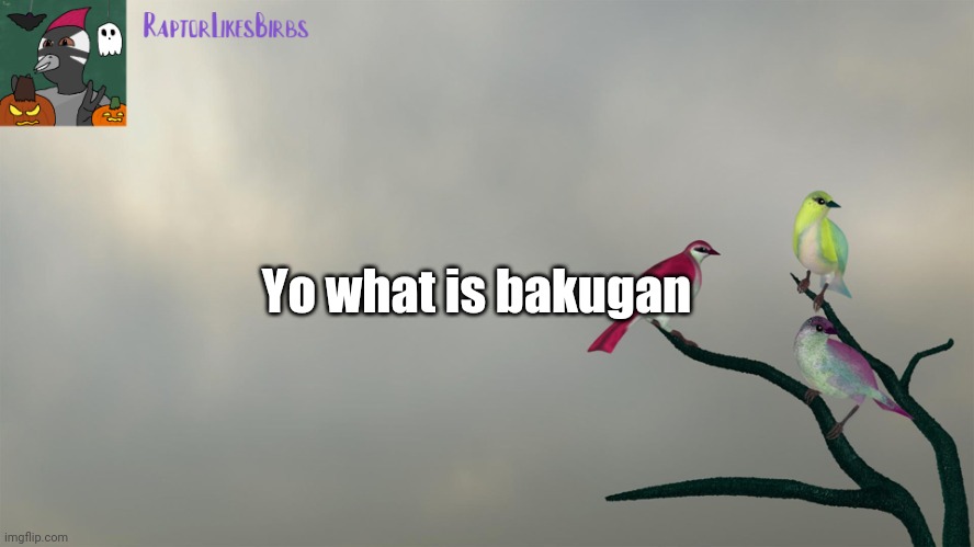 Serious question |  Yo what is bakugan | image tagged in raptor's template | made w/ Imgflip meme maker