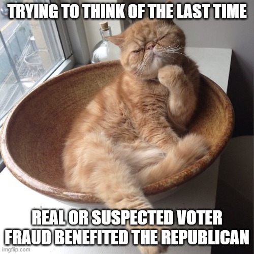 TRYING TO THINK OF THE LAST TIME REAL OR SUSPECTED VOTER FRAUD BENEFITED THE REPUBLICAN | made w/ Imgflip meme maker