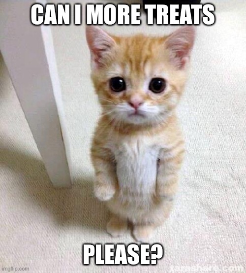 Cute Cat | CAN I MORE TREATS; PLEASE? | image tagged in memes,cute cat | made w/ Imgflip meme maker