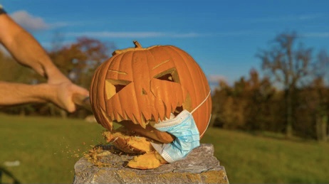 hit pumpkin Blank Meme Template