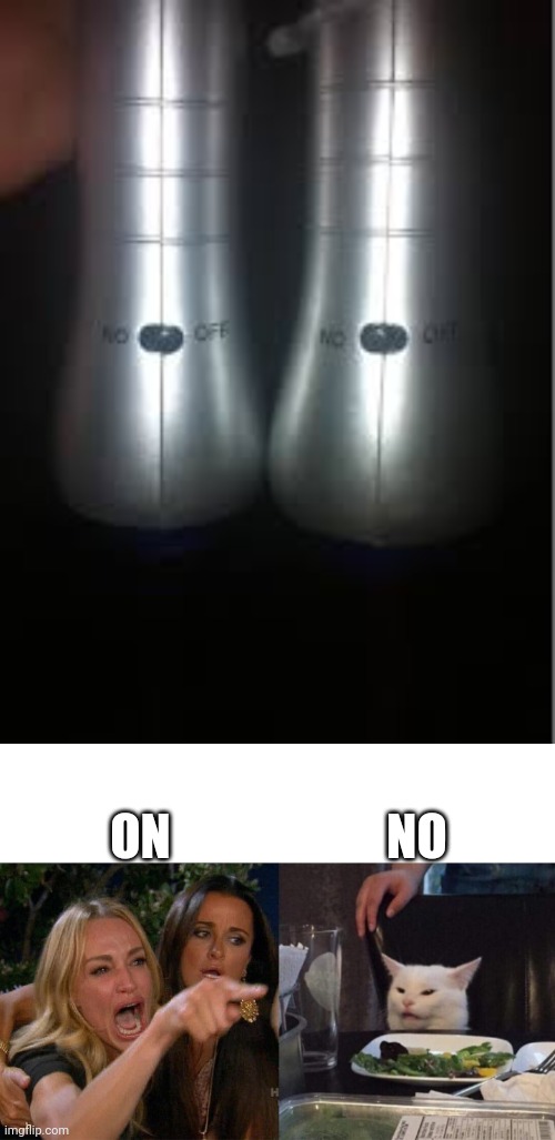 NO; ON | image tagged in two women yelling cat | made w/ Imgflip meme maker