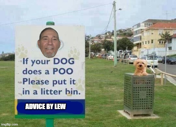 ADVICE BY LEW | made w/ Imgflip meme maker