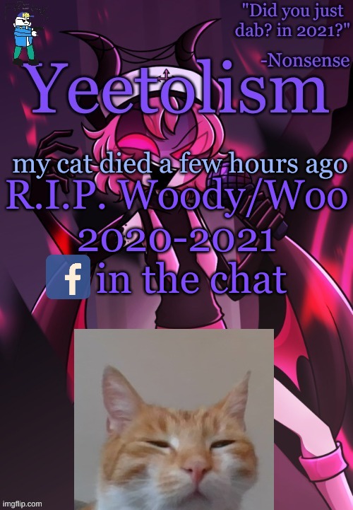 1 like=1 prayer Q_Q | my cat died a few hours ago; R.I.P. Woody/Woo
2020-2021
   in the chat | image tagged in yeetolism temp v3 but with fbi sans | made w/ Imgflip meme maker