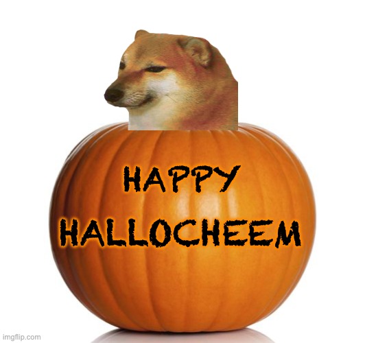 Camdy now, plees | HAPPY; HALLOCHEEM | image tagged in pumpkin,cheems,halloween,spooktober | made w/ Imgflip meme maker