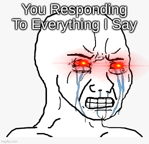 You Responding To Everything I Say | image tagged in angry crying | made w/ Imgflip meme maker