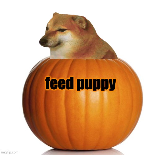 Happy Hallocheem | feed puppy | image tagged in pumpkin,cheems,candy,spooktober,halloween,holidays | made w/ Imgflip meme maker