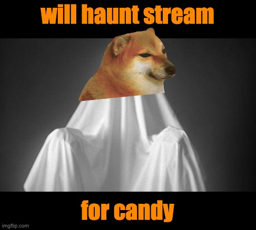also Hallocheem | will haunt stream; for candy | image tagged in ghost,cheems,halloween,costume,candy | made w/ Imgflip meme maker