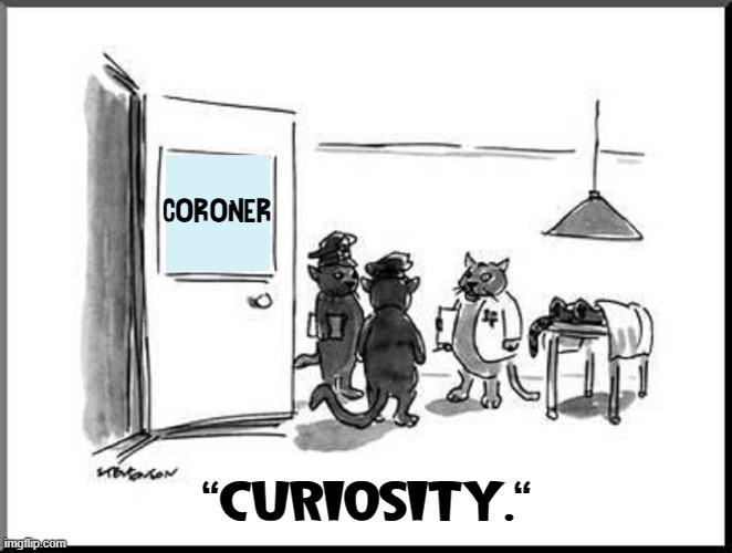 Tho' he had 9 Lives, Felix was no match for curiosity | CORONER; "CURIOSITY." | image tagged in vince vance,cats,coroner,curiosity killed the cat,memes,nine lives | made w/ Imgflip meme maker