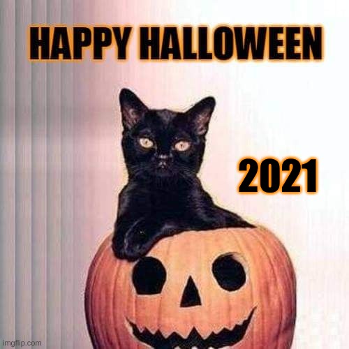  2021 | image tagged in happy halloween,kitty,pumpkin,halloween,2021 | made w/ Imgflip meme maker
