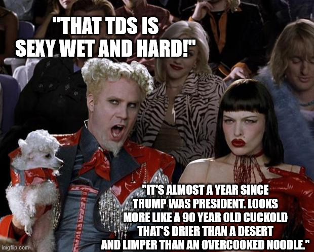 "LET'S GO. . .MIGHTY MORPHIN' POWER RANGERS!(Thought it was going to be BRANDON, didn't ya?) | "THAT TDS IS SEXY WET AND HARD!"; "IT'S ALMOST A YEAR SINCE TRUMP WAS PRESIDENT. LOOKS MORE LIKE A 90 YEAR OLD CUCKOLD THAT'S DRIER THAN A DESERT AND LIMPER THAN AN OVERCOOKED NOODLE." | image tagged in memes,mugatu so hot right now,tds,political meme,political humor | made w/ Imgflip meme maker