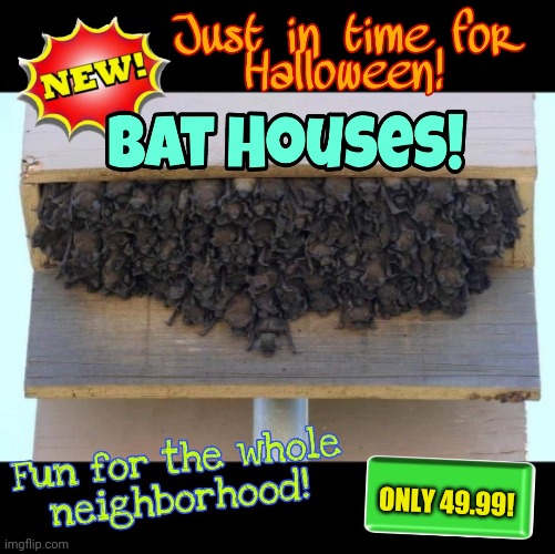 Goin' Batty | ONLY 49.99! | image tagged in bat,houses,funny,halloween,memes | made w/ Imgflip meme maker