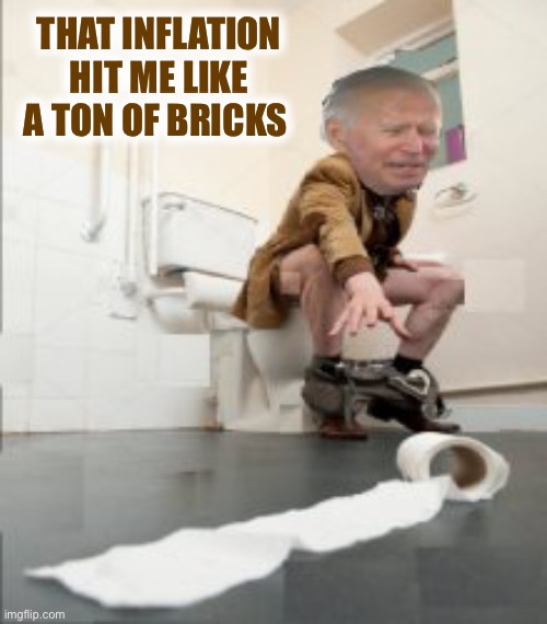 Joe toilet paper | THAT INFLATION HIT ME LIKE A TON OF BRICKS | image tagged in joe toilet paper | made w/ Imgflip meme maker
