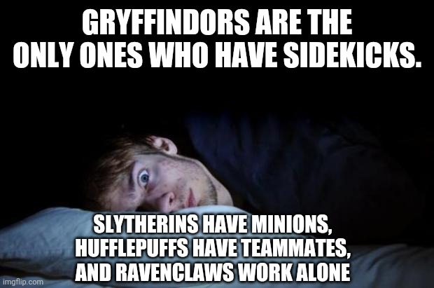 Harry Potter house sidekick | GRYFFINDORS ARE THE ONLY ONES WHO HAVE SIDEKICKS. SLYTHERINS HAVE MINIONS,
HUFFLEPUFFS HAVE TEAMMATES,
AND RAVENCLAWS WORK ALONE | image tagged in insomnia | made w/ Imgflip meme maker