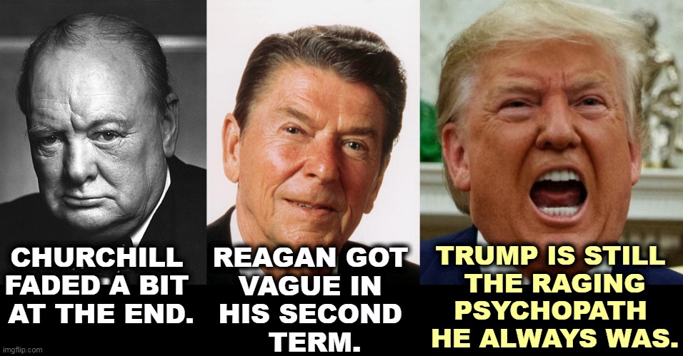Trump has learned nothing. How can you be president for four years and learn nothing? | REAGAN GOT 
VAGUE IN 
HIS SECOND 
TERM. TRUMP IS STILL 
THE RAGING PSYCHOPATH 
HE ALWAYS WAS. CHURCHILL 
FADED A BIT 
AT THE END. | image tagged in winston churchill,ronald reagan,old,trump,berserk,moron | made w/ Imgflip meme maker
