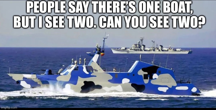 Can you? | PEOPLE SAY THERE’S ONE BOAT, BUT I SEE TWO. CAN YOU SEE TWO? | image tagged in camouflage,china | made w/ Imgflip meme maker