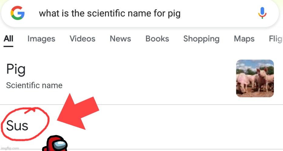 Scientific name for pig. | image tagged in memes,funny,amongus,among us,sus,sussy baka | made w/ Imgflip meme maker