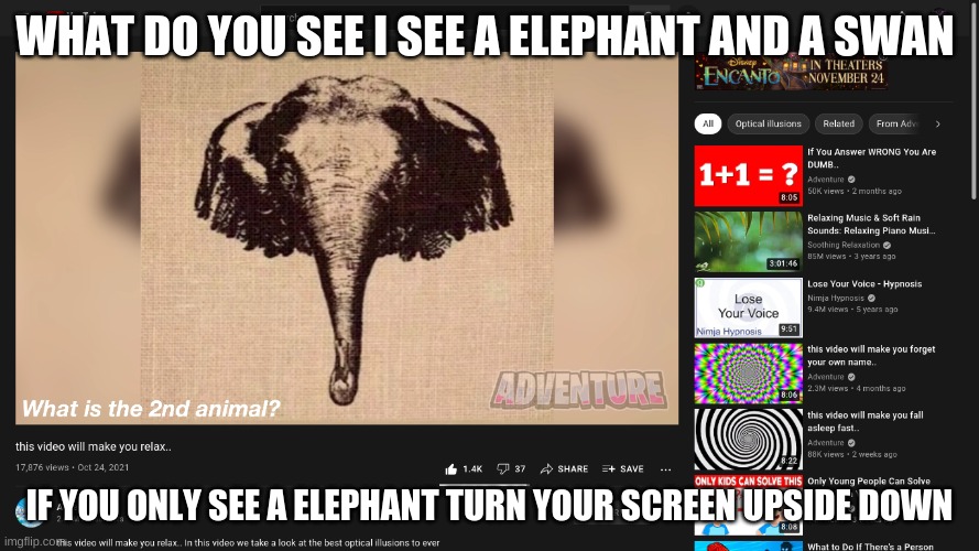 what do you see? | WHAT DO YOU SEE I SEE A ELEPHANT AND A SWAN; IF YOU ONLY SEE A ELEPHANT TURN YOUR SCREEN UPSIDE DOWN | image tagged in optical illusion | made w/ Imgflip meme maker