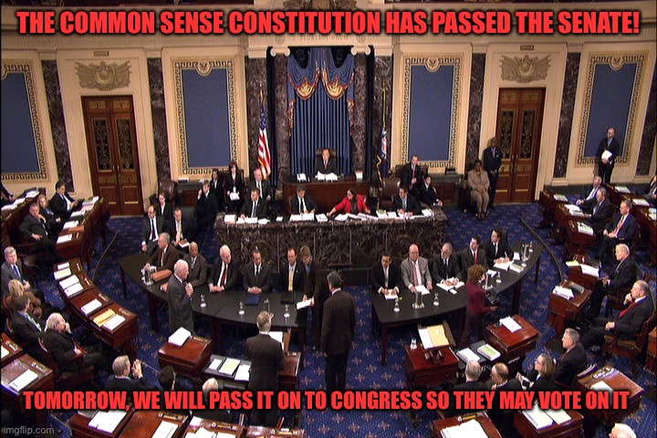 Let us rejoice in this important step towards rebuilding our democracy | THE COMMON SENSE CONSTITUTION HAS PASSED THE SENATE! TOMORROW, WE WILL PASS IT ON TO CONGRESS SO THEY MAY VOTE ON IT | image tagged in senate floor | made w/ Imgflip meme maker