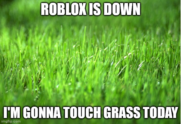 I'm touching grass today | ROBLOX IS DOWN; I'M GONNA TOUCH GRASS TODAY | image tagged in grass is greener | made w/ Imgflip meme maker