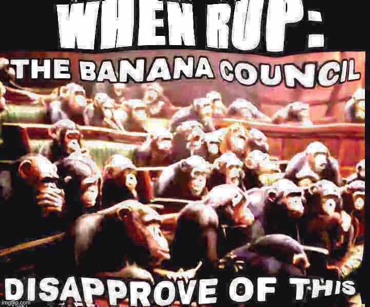 the bAnAnA cOuNcIl | image tagged in october election,the,banana,council | made w/ Imgflip meme maker