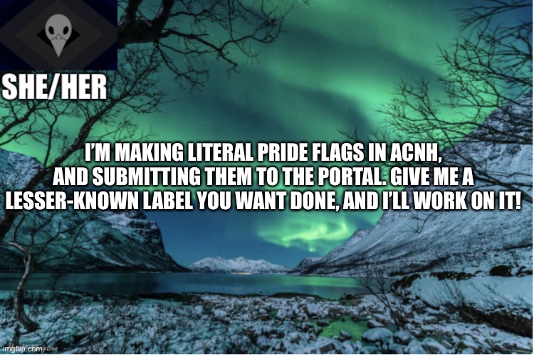 Northern Lights Termcollector Template | I’M MAKING LITERAL PRIDE FLAGS IN ACNH, AND SUBMITTING THEM TO THE PORTAL. GIVE ME A LESSER-KNOWN LABEL YOU WANT DONE, AND I’LL WORK ON IT! | image tagged in northern lights termcollector template | made w/ Imgflip meme maker